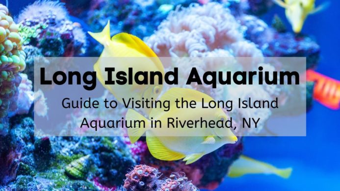 long island aquarium NY
